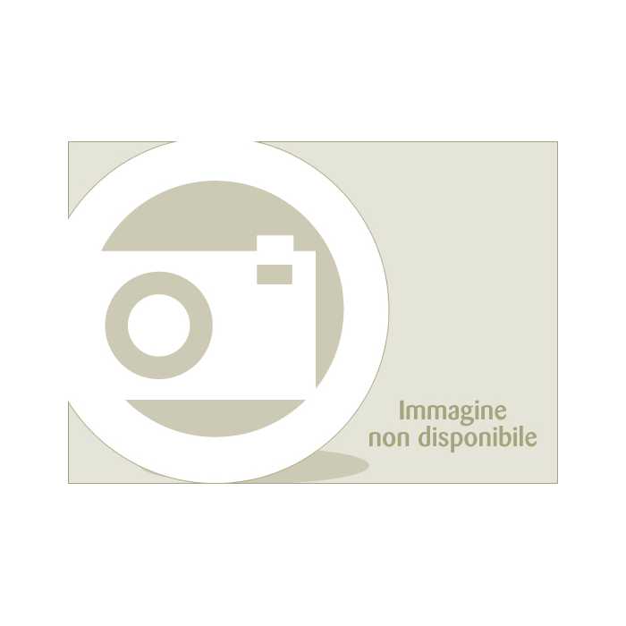 SR1162 Monokey rear rack specific for Honda