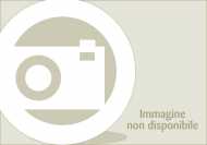 Attacco posteriore SR1162 Monokey specifico per Honda