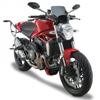 Telaietti laterali specifici TE6402 per Triumph Speed
